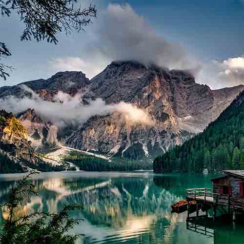 Nature Composition