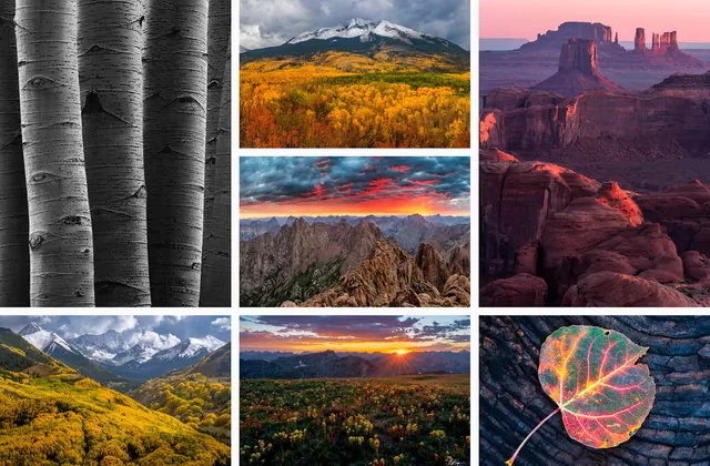 Nature Prints