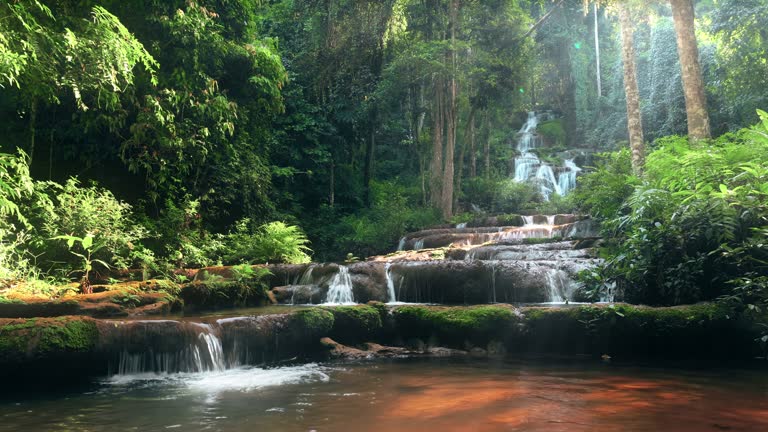 Nature-Soul Core Values