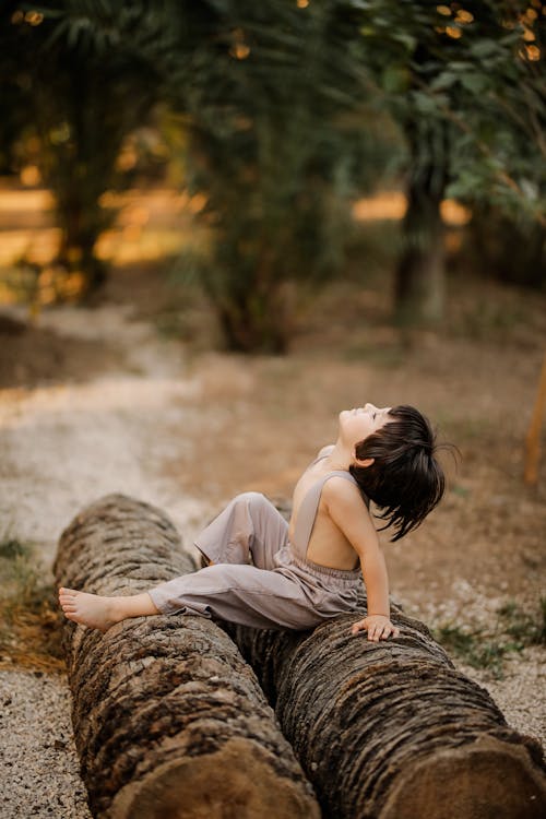Portraits in Nature